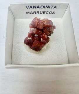 Vanadinita Colección