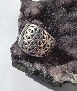 Anillo Flor De La Vida De Plata 925g