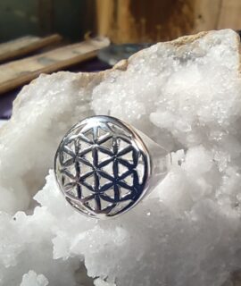 Anillo Sello Flor De La Vida, Plata 925g