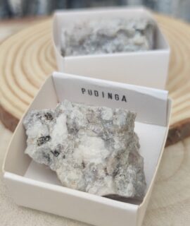 Pudinga, Cajita 4 X 4