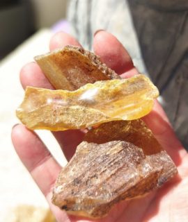 Copal Fósil