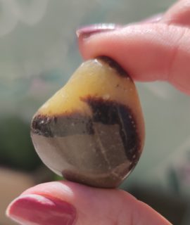 Rodado De Septaria